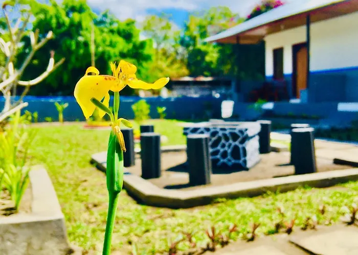 Ampik Batur 3*